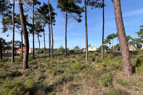Helårsgrund i Almada, Setubal, Almada - € 1.100.000 | Ref: TER_1370 - foto 10