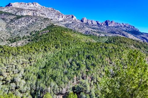 Grond in Altea, Alicante, Altea - € 398.000 | Ref: 0229G - foto 10
