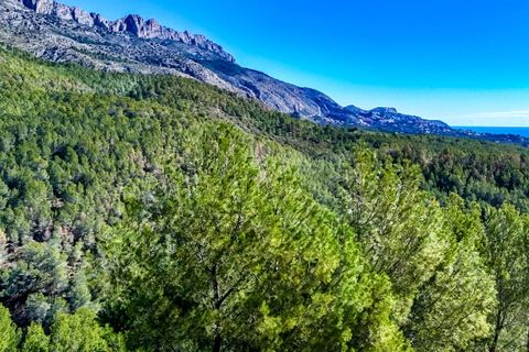 Grond in Altea, Alicante, Altea - € 398.000 | Ref: 0229G - foto 11