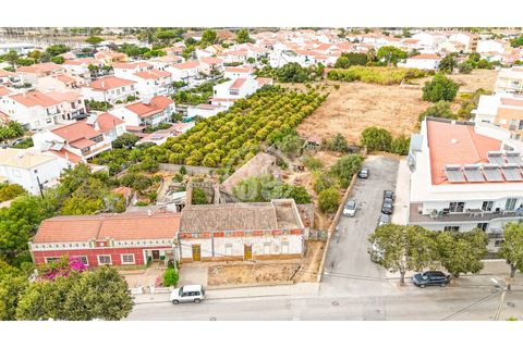 Terra a Tunes, Faro, Tunes - € 990.000 | Ref: TR-003 - foto 2