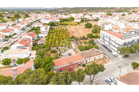 Terra a Tunes, Faro, Tunes - € 990.000 | Ref: TR-003 - foto 3