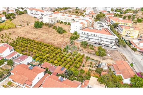 Terra a Tunes, Faro, Tunes - € 990.000 | Ref: TR-003 - foto 4
