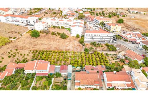 Terra a Tunes, Faro, Tunes - € 990.000 | Ref: TR-003 - foto 5