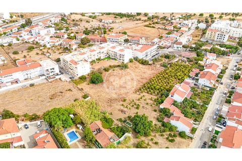 Terra a Tunes, Faro, Tunes - € 990.000 | Ref: TR-003 - foto 6