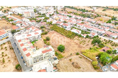 Terra a Tunes, Faro, Tunes - € 990.000 | Ref: TR-003 - foto 7