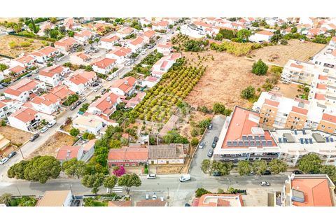 Terra a Tunes, Faro, Tunes - € 990.000 | Ref: TR-003 - foto 8