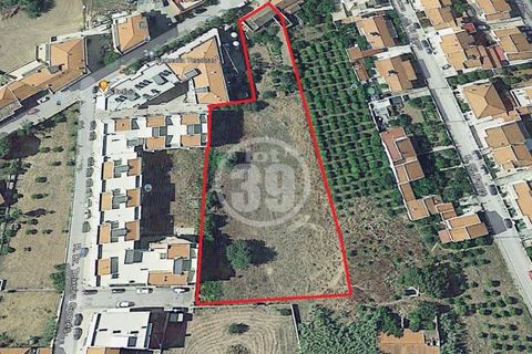 Terra a Tunes, Faro, Tunes - € 990.000 | Ref: TR-003 - foto 10