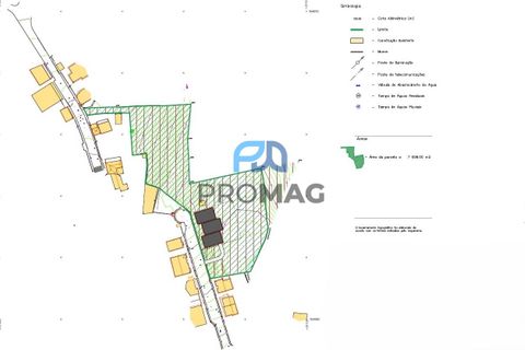 Helårsgrund i Gondomar, Porto, Gondomar - € 112.500 | Ref: #193 - foto 17