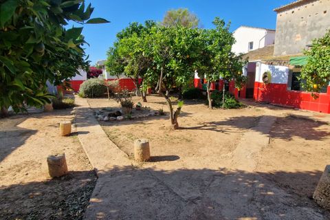 Villa a Oliva, Valencia, Oliva - € 599.000 | Ref: es5553569 - foto 33