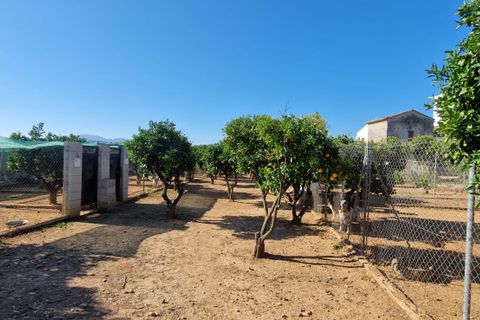 Villa a Oliva, Valencia, Oliva - € 599.000 | Ref: es5553569 - foto 34
