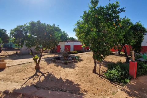 Villa a Oliva, Valencia, Oliva - € 599.000 | Ref: es5553569 - foto 44