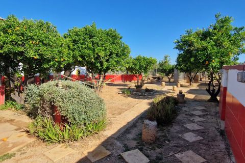 Villa a Oliva, Valencia, Oliva - € 599.000 | Ref: es5553569 - foto 46