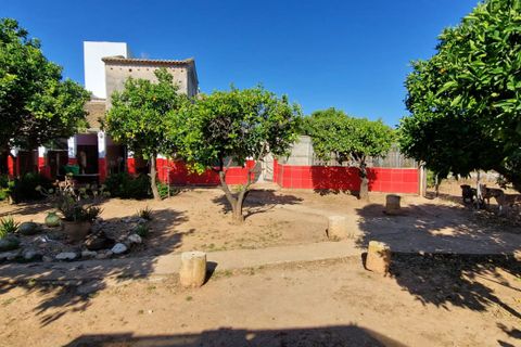Villa a Oliva, Valencia, Oliva - € 599.000 | Ref: es5553569 - foto 47