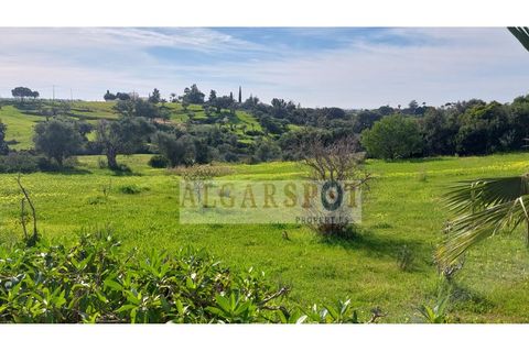 Villa i Guia, Faro, Guia - € 850.000 | Ref: HAB-ALB2 - foto 49