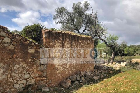 Helårsgrund i Almancil, Faro, Almancil - € 250.000 | Ref: TE-LOAL-02 - foto 13