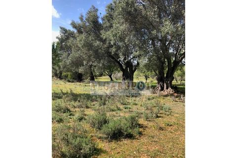 Helårsgrund i Almancil, Faro, Almancil - € 250.000 | Ref: TE-LOAL-02 - foto 14