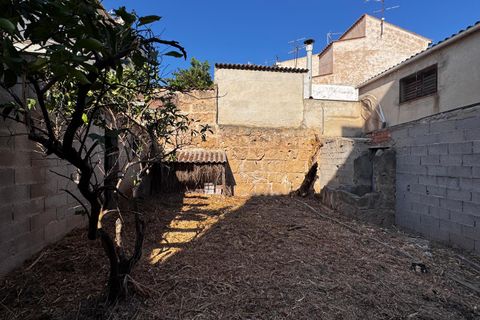 Terra a Andratx, Mallorca, Andratx - € 210.000 | Ref: 78327 - foto 3