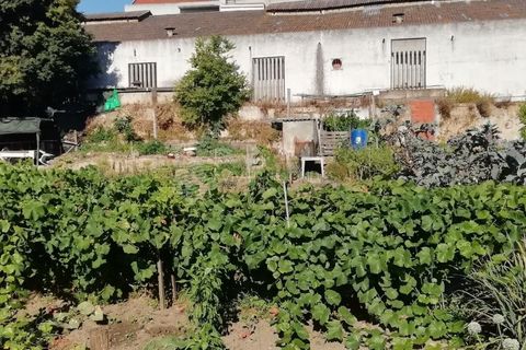 Helårsgrund i Setubal, Setubal, Setubal - € 1.550.000 | Ref: VO-10964 - foto 6