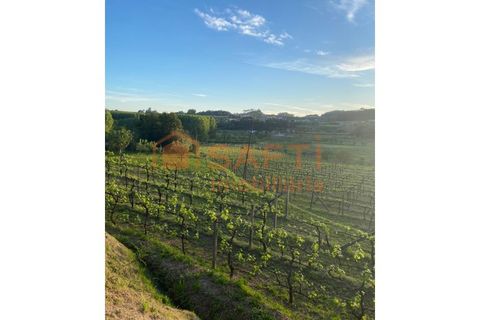 Farm i Lousada, Porto, Lousada - € 990.000 | Ref: SAFTI:006097 - foto 9