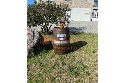 Farm i Lousada, Porto, Lousada - € 990.000 | Ref: SAFTI:006097 - foto 17