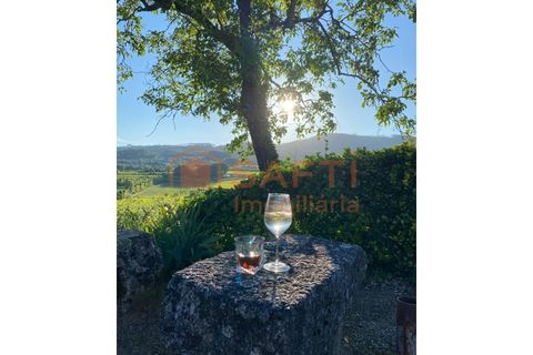 Farm i Lousada, Porto, Lousada - € 990.000 | Ref: SAFTI:006097 - foto 32