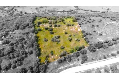 Helårsgrund i Evora, Evora, Evora - € 54.000 | Ref: UNU.I.1167.20159 - foto 1