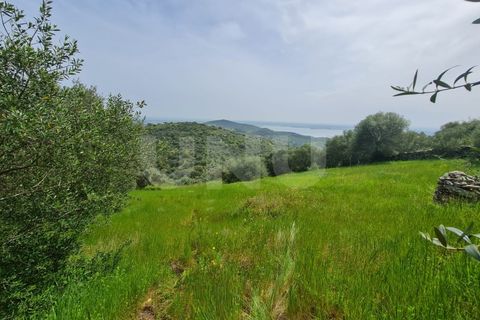 Helårsgrund i Evora, Evora, Evora - € 54.000 | Ref: UNU.I.1167.20159 - foto 9