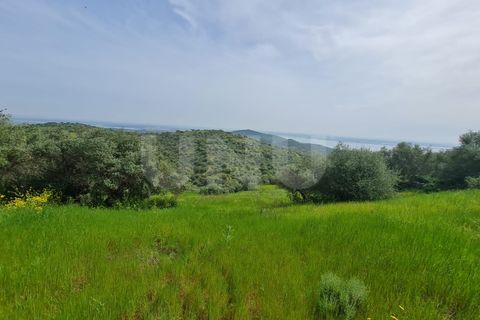 Helårsgrund i Evora, Evora, Evora - € 54.000 | Ref: UNU.I.1167.20159 - foto 8