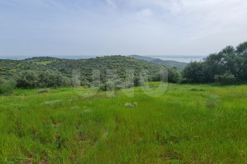 Helårsgrund i Evora, Evora, Evora - € 54.000 | Ref: UNU.I.1167.20159 - foto 11