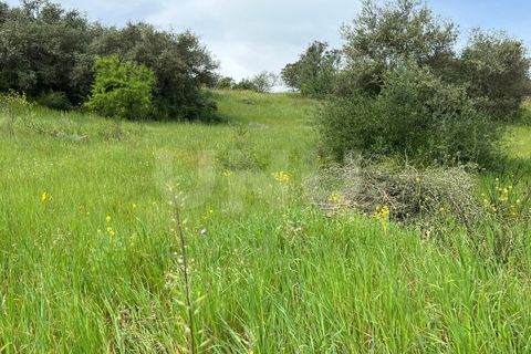 Helårsgrund i Evora, Evora, Evora - € 54.000 | Ref: UNU.I.1167.20159 - foto 14