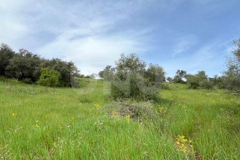 Helårsgrund i Evora, Evora, Evora - € 54.000 | Ref: UNU.I.1167.20159 - foto 13