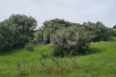 Helårsgrund i Evora, Evora, Evora - € 54.000 | Ref: UNU.I.1167.20159 - foto 15