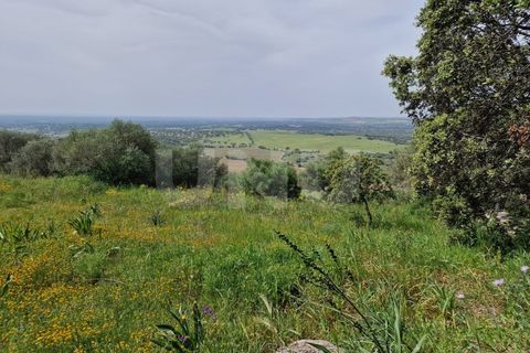 Helårsgrund i Evora, Evora, Evora - € 54.000 | Ref: UNU.I.1167.20159 - foto 16