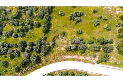 Helårsgrund i Evora, Evora, Evora - € 54.000 | Ref: UNU.I.1167.20159 - foto 18