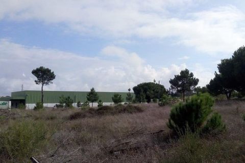 Erhvervsejendom i Ermidas do Sado, Setubal, Ermidas do Sado - € 390.000 | Ref: TER_4 - foto 1