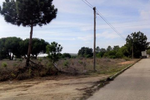 Erhvervsejendom i Ermidas do Sado, Setubal, Ermidas do Sado - € 390.000 | Ref: TER_4 - foto 2