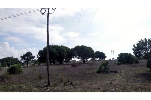 Erhvervsejendom i Ermidas do Sado, Setubal, Ermidas do Sado - € 390.000 | Ref: TER_4 - foto 4