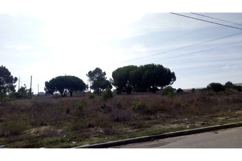 Erhvervsejendom i Ermidas do Sado, Setubal, Ermidas do Sado - € 390.000 | Ref: TER_4 - foto 5