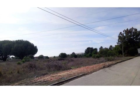 Erhvervsejendom i Ermidas do Sado, Setubal, Ermidas do Sado - € 390.000 | Ref: TER_4 - foto 6
