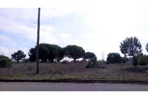 Erhvervsejendom i Ermidas do Sado, Setubal, Ermidas do Sado - € 390.000 | Ref: TER_4 - foto 7