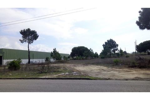 Erhvervsejendom i Ermidas do Sado, Setubal, Ermidas do Sado - € 390.000 | Ref: TER_4 - foto 8