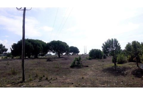 Erhvervsejendom i Ermidas do Sado, Setubal, Ermidas do Sado - € 390.000 | Ref: TER_4 - foto 9