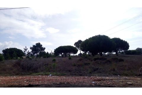 Erhvervsejendom i Ermidas do Sado, Setubal, Ermidas do Sado - € 390.000 | Ref: TER_4 - foto 10