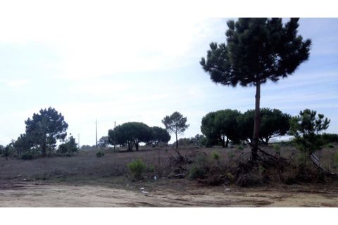 Erhvervsejendom i Ermidas do Sado, Setubal, Ermidas do Sado - € 390.000 | Ref: TER_4 - foto 11