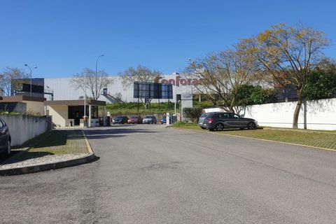 L'establiment comercial a Amadora, Lisbon, Amadora - € 4.631/mes | Ref: 4_1D - foto 7
