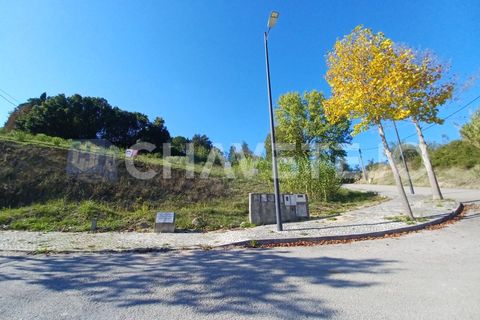Grond in Tomar, Santarem, Tomar - € 70.000 | Ref: 628/24 - foto 2