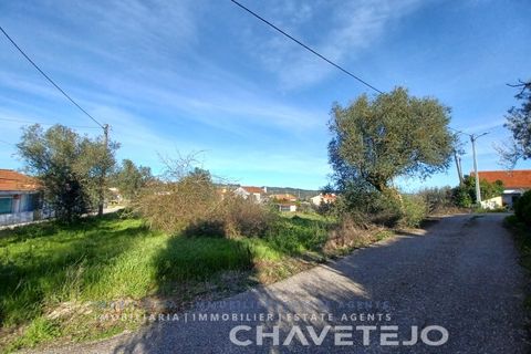 Tomt i Serra, Santarem, Serra - € 58 000 | Ref: 610/24 - foto 4