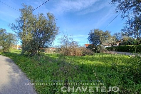 Tomt i Serra, Santarem, Serra - € 58 000 | Ref: 610/24 - foto 5