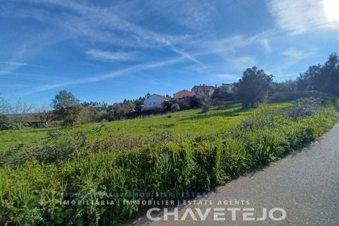 Tomt i Serra, Santarem, Serra - € 58 000 | Ref: 610/24 - foto 6