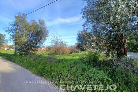 Tomt i Serra, Santarem, Serra - € 58 000 | Ref: 610/24 - foto 8
